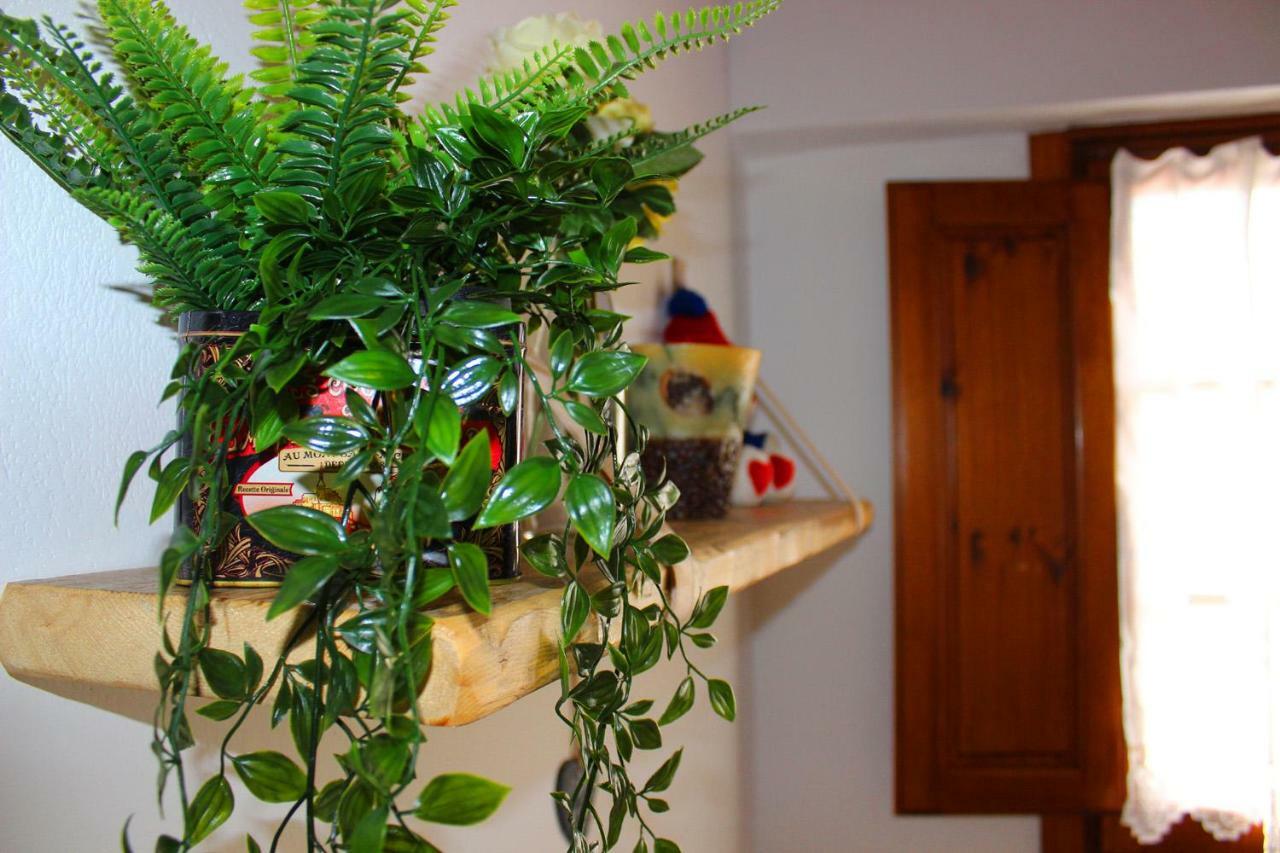 Apartament Mina House Campi Bisenzio Zewnętrze zdjęcie